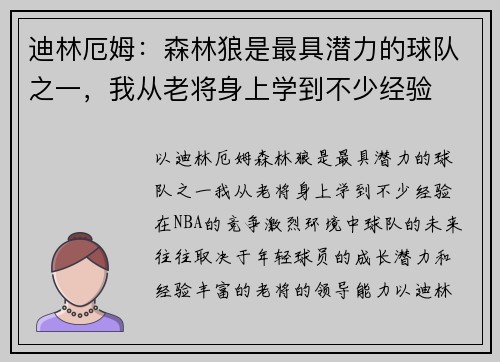 迪林厄姆：森林狼是最具潜力的球队之一，我从老将身上学到不少经验